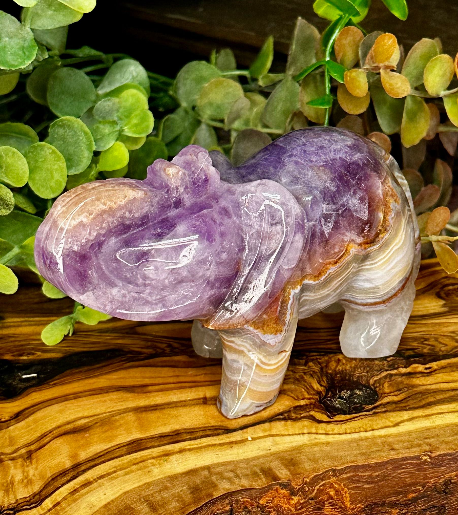 Amethyst & Mexican Lace Agate Elephant Carving