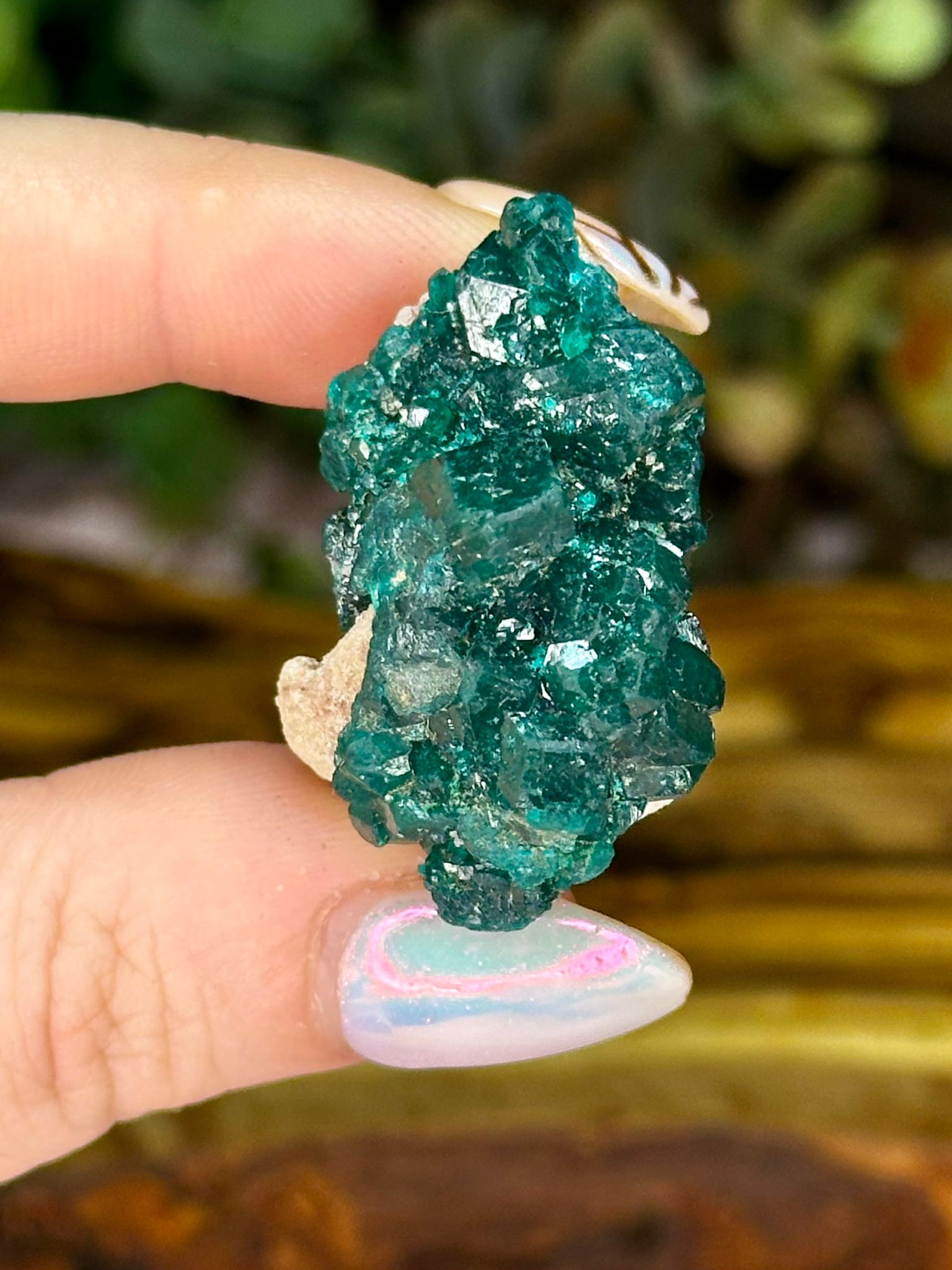 Dioptase with Chrysocolla & Malachite