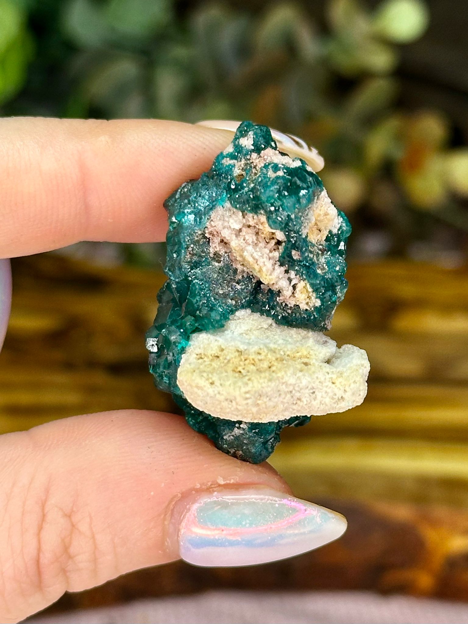 Dioptase with Chrysocolla & Malachite