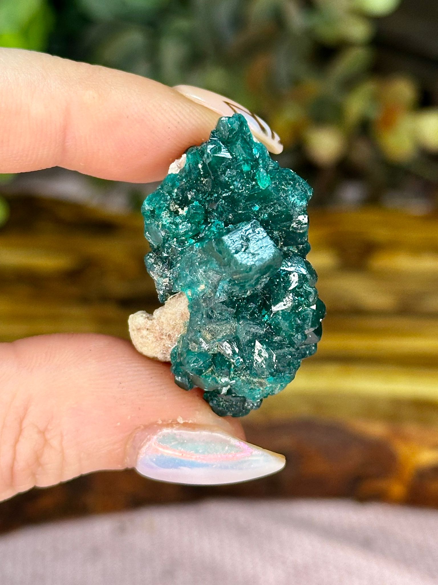 Dioptase with Chrysocolla & Malachite