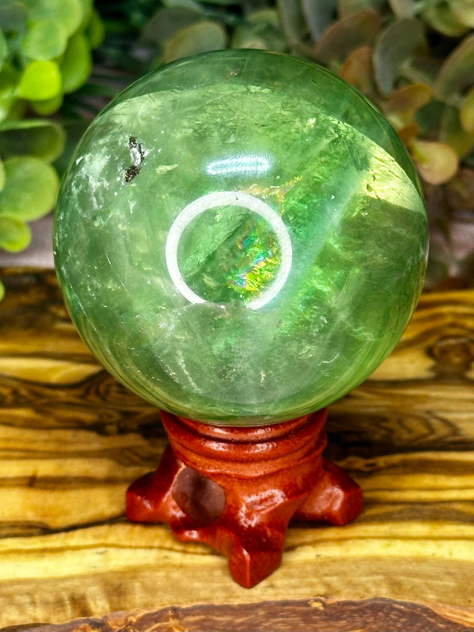 Apple Green Fluorite Sphere with Rainbows & Pyrite Inclusion