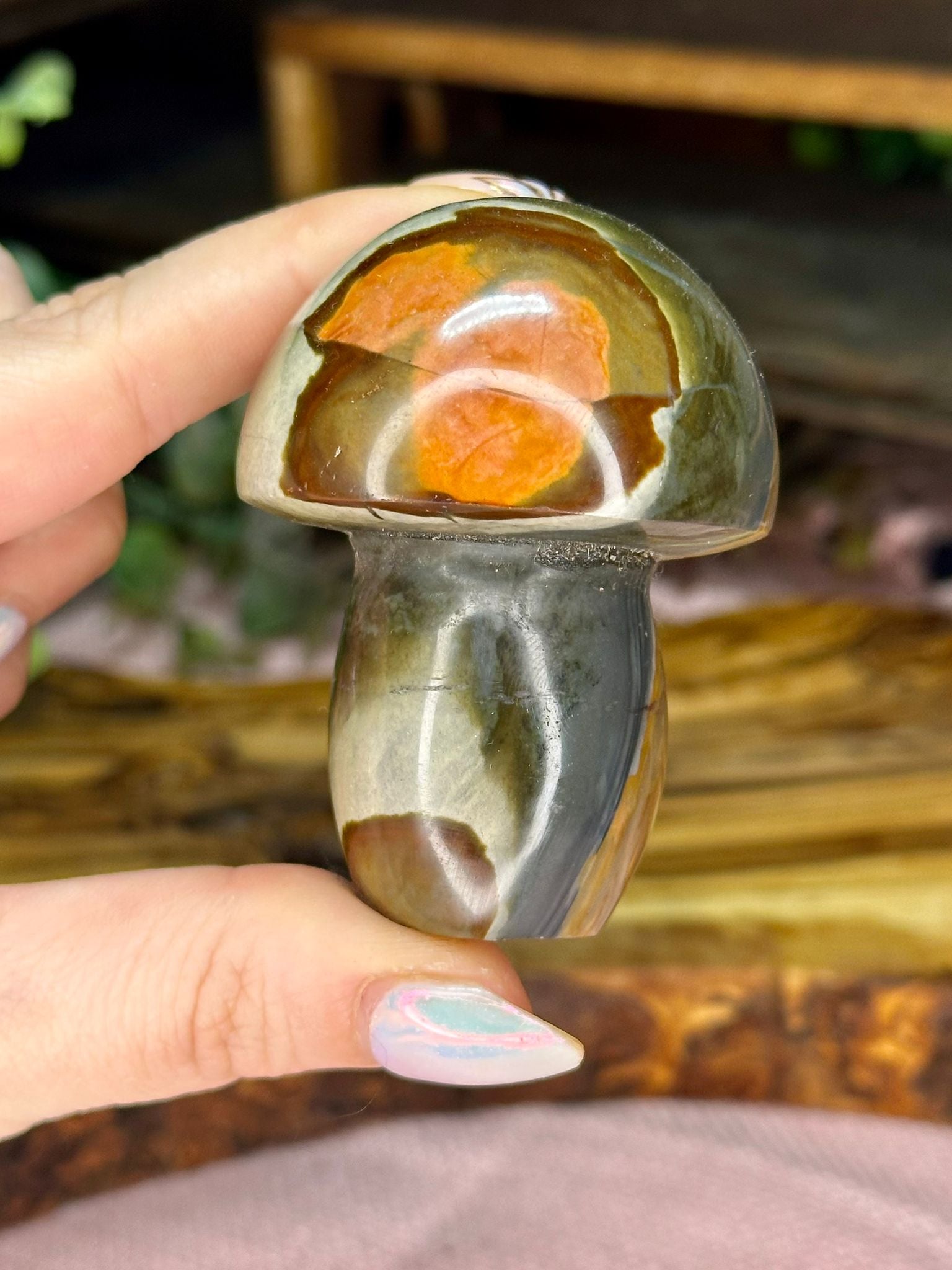 Polychrome Jasper Mushroom #1