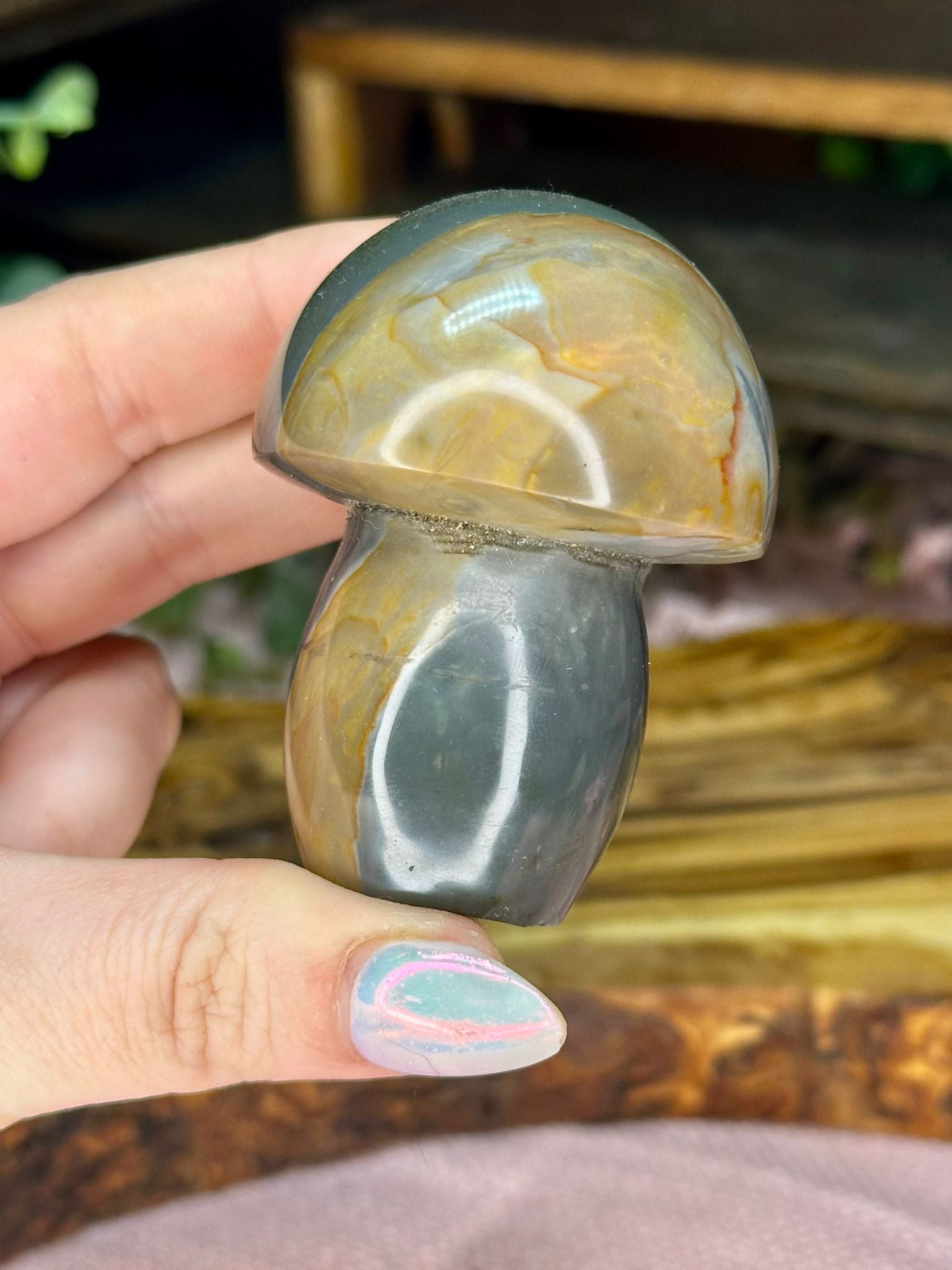Polychrome Jasper Mushroom #1