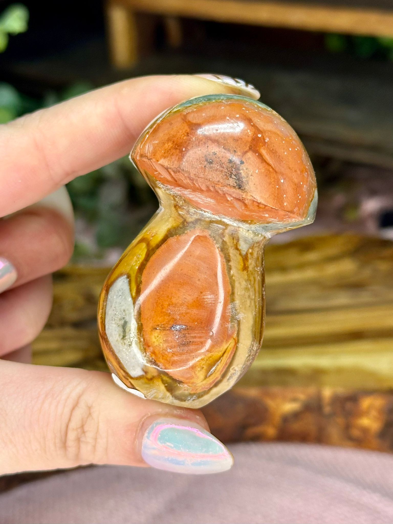 Polychrome Jasper Mushroom #2
