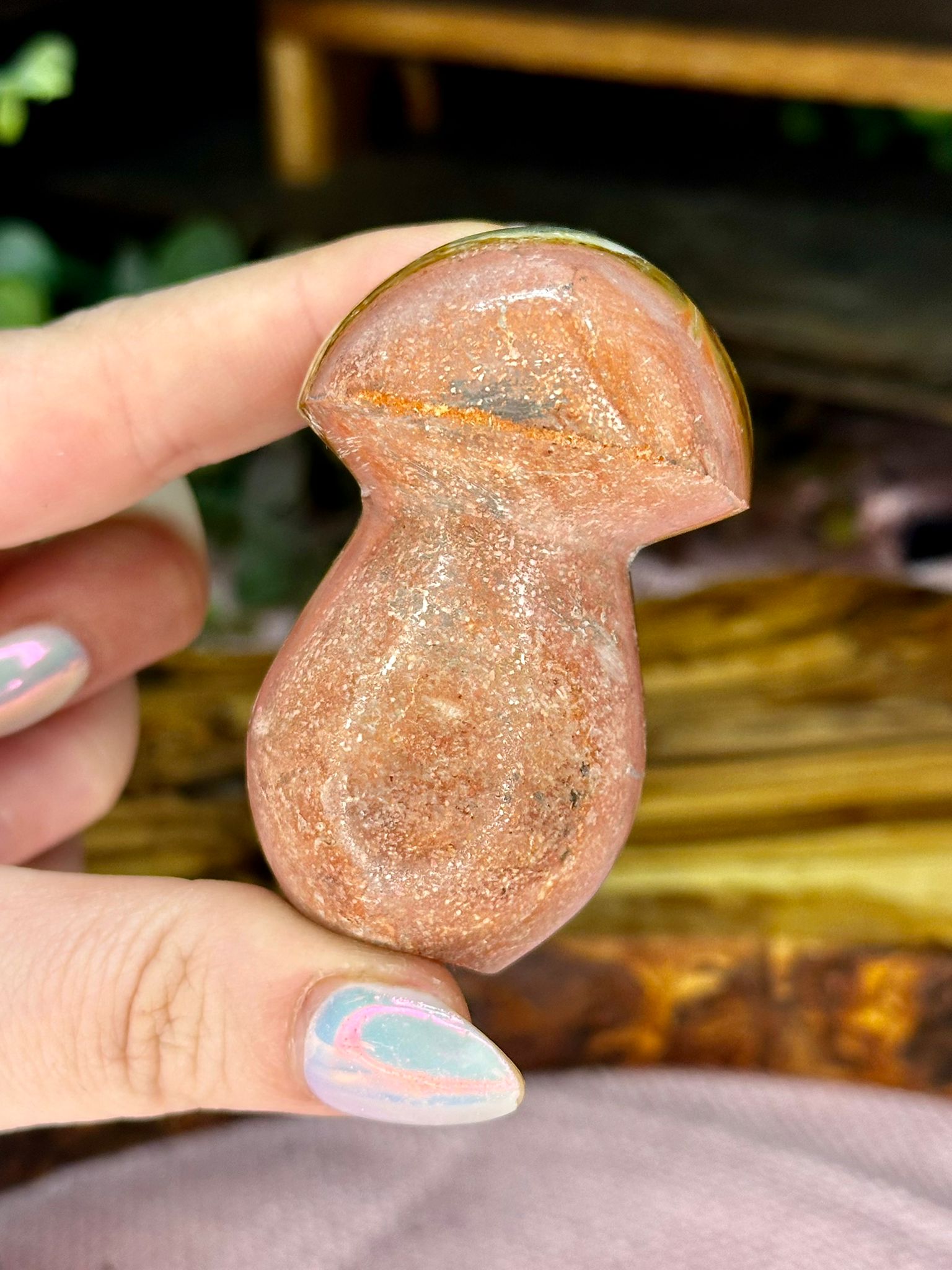 Polychrome Jasper Mushroom #2