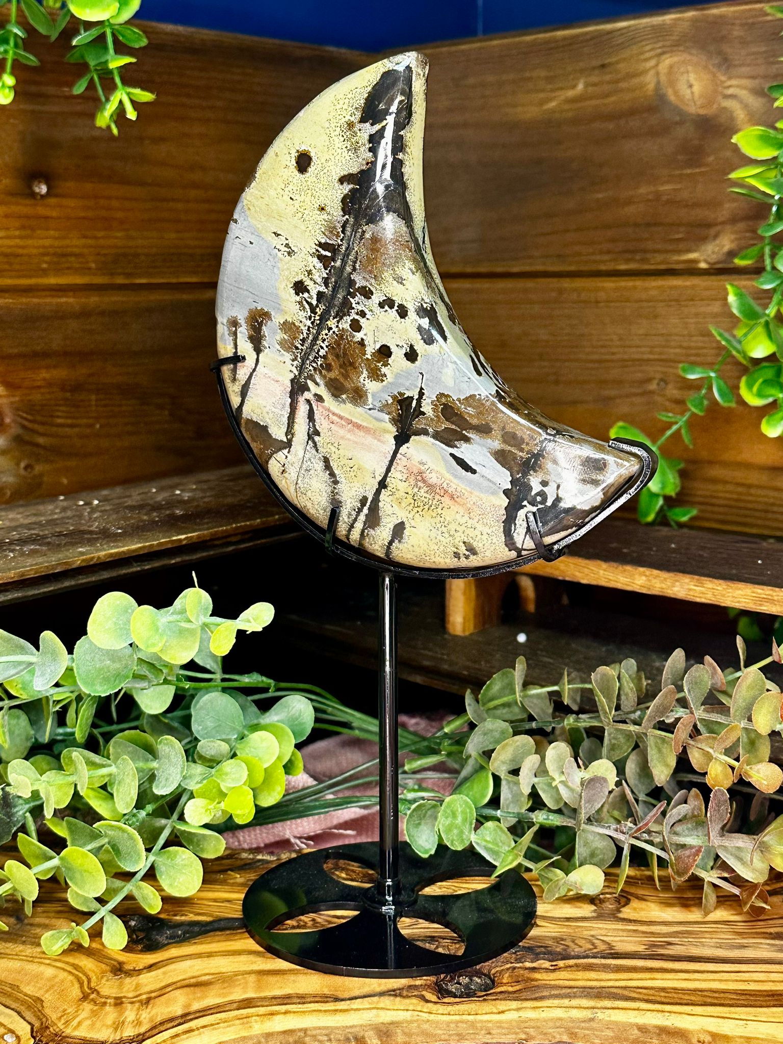 XL Picture Jasper Crescent Moon on Stand #1