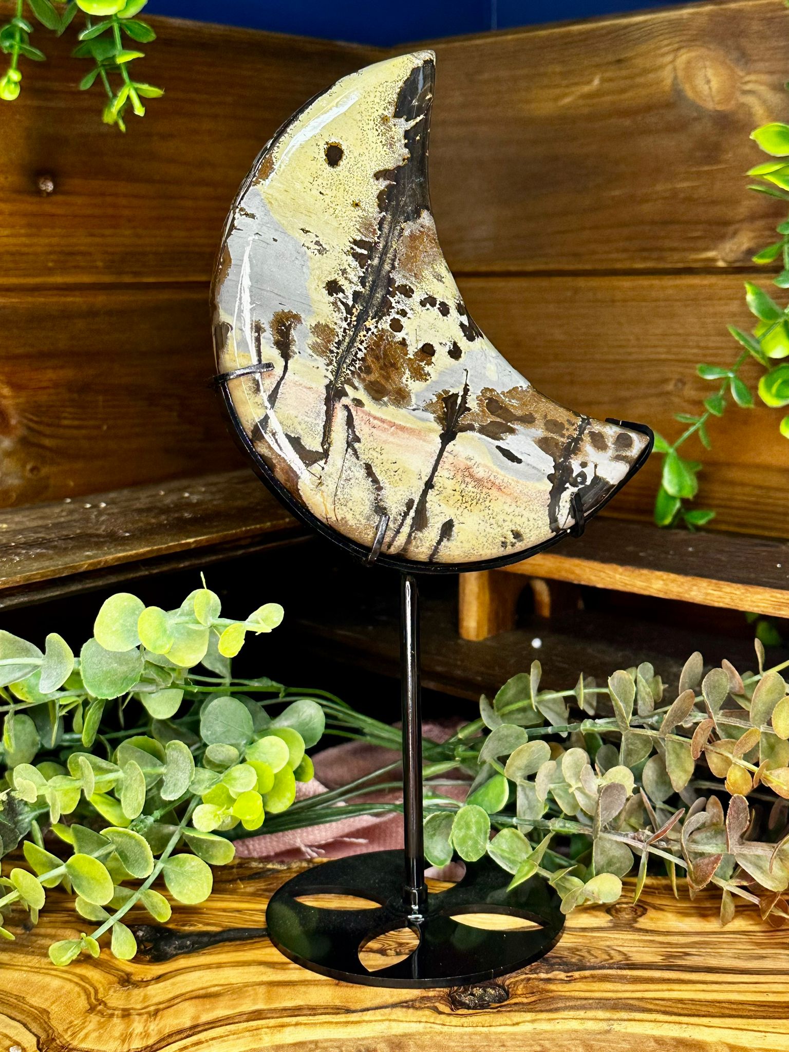 XL Picture Jasper Crescent Moon on Stand #1