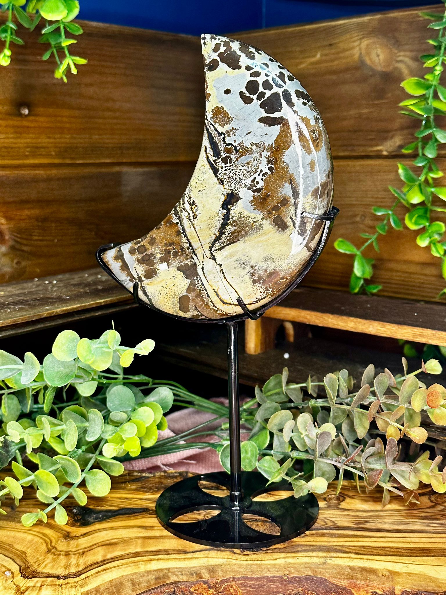 XL Picture Jasper Crescent Moon on Stand #1