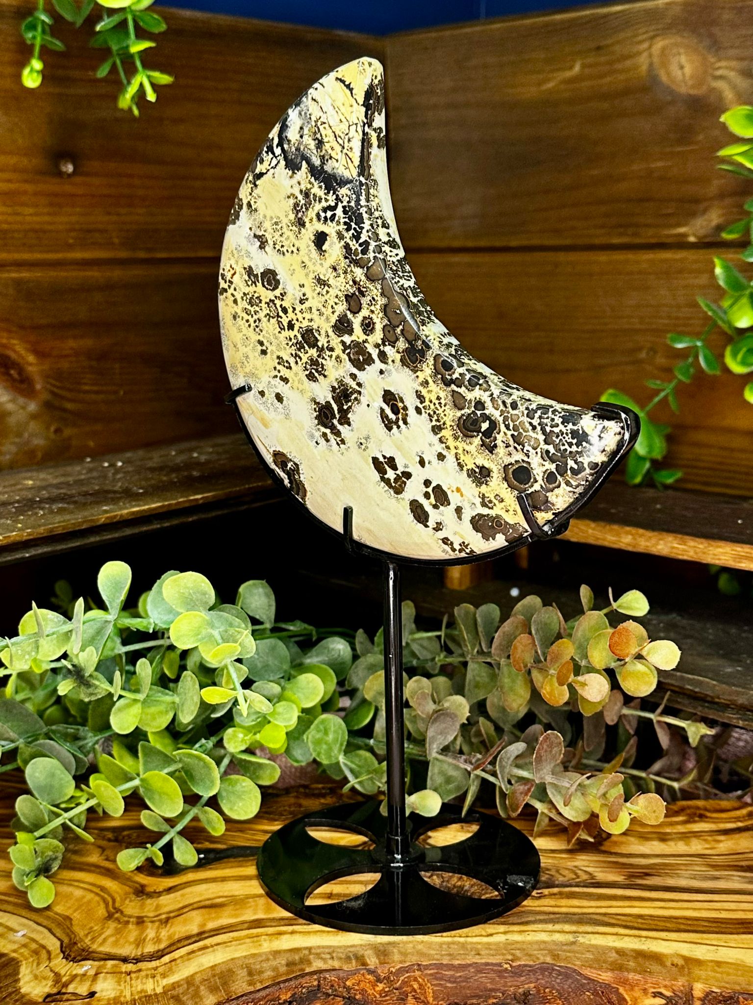 XL Picture Jasper Crescent Moon on Stand #2