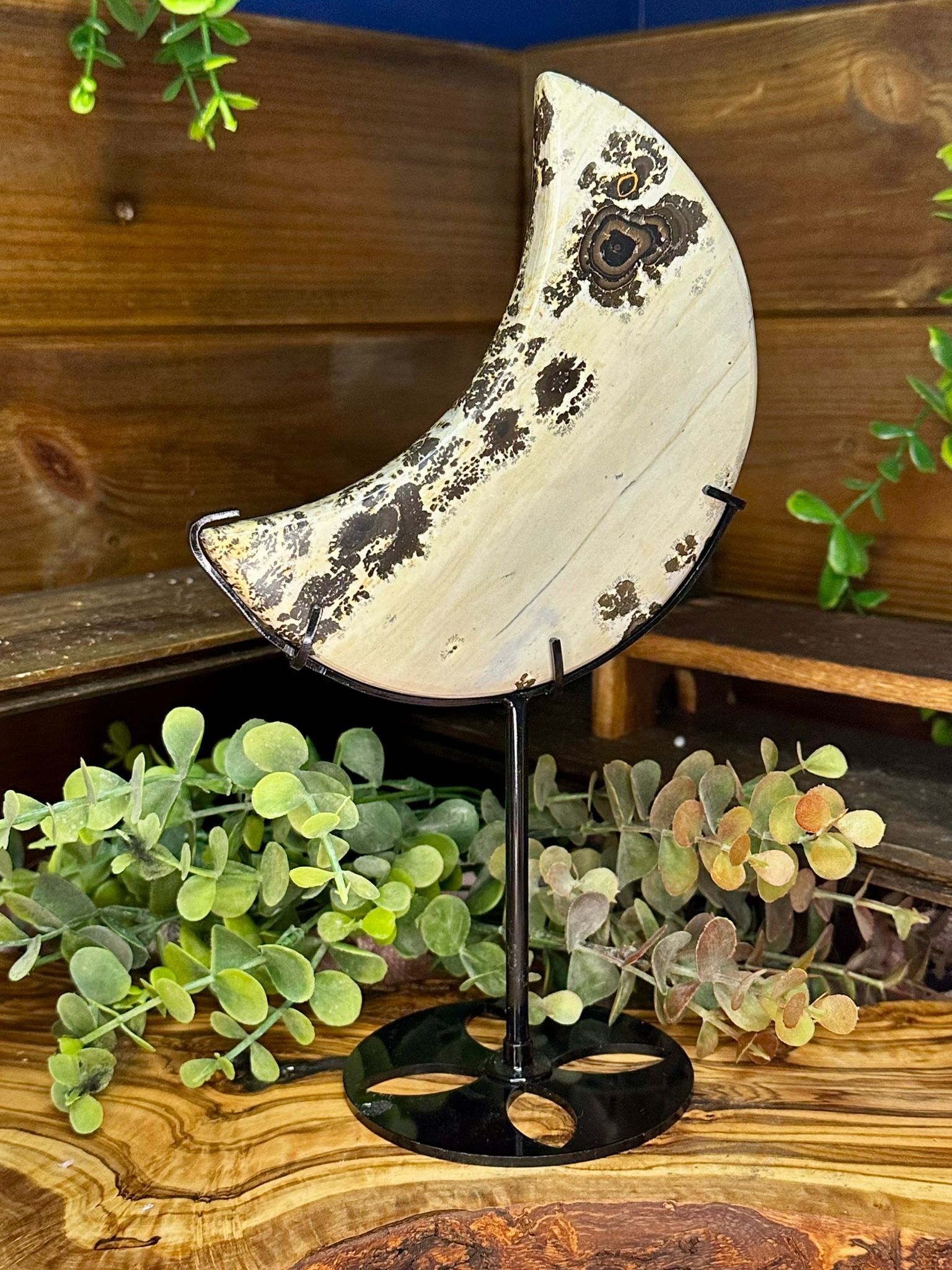 XL Picture Jasper Crescent Moon on Stand #2