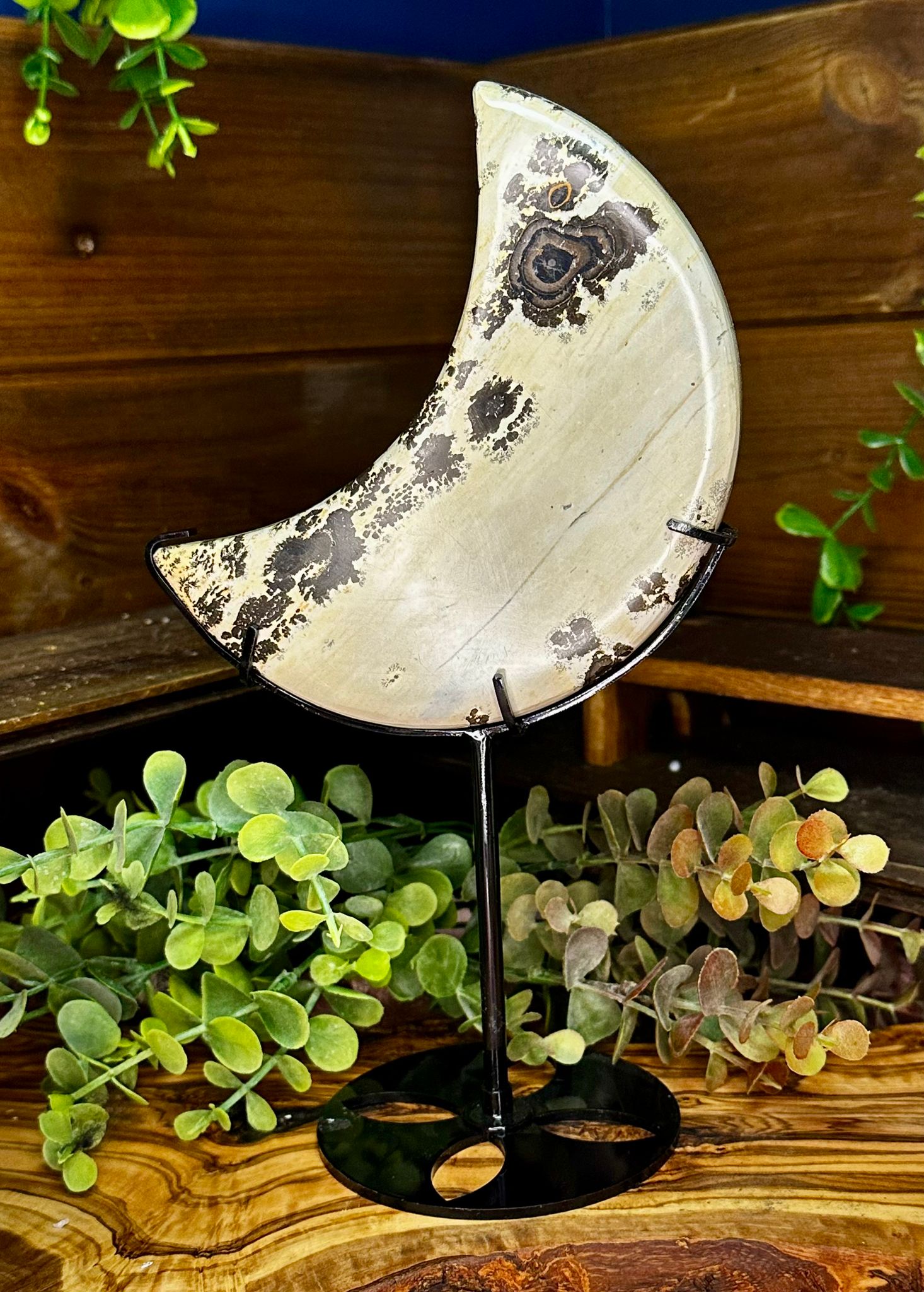 XL Picture Jasper Crescent Moon on Stand #2