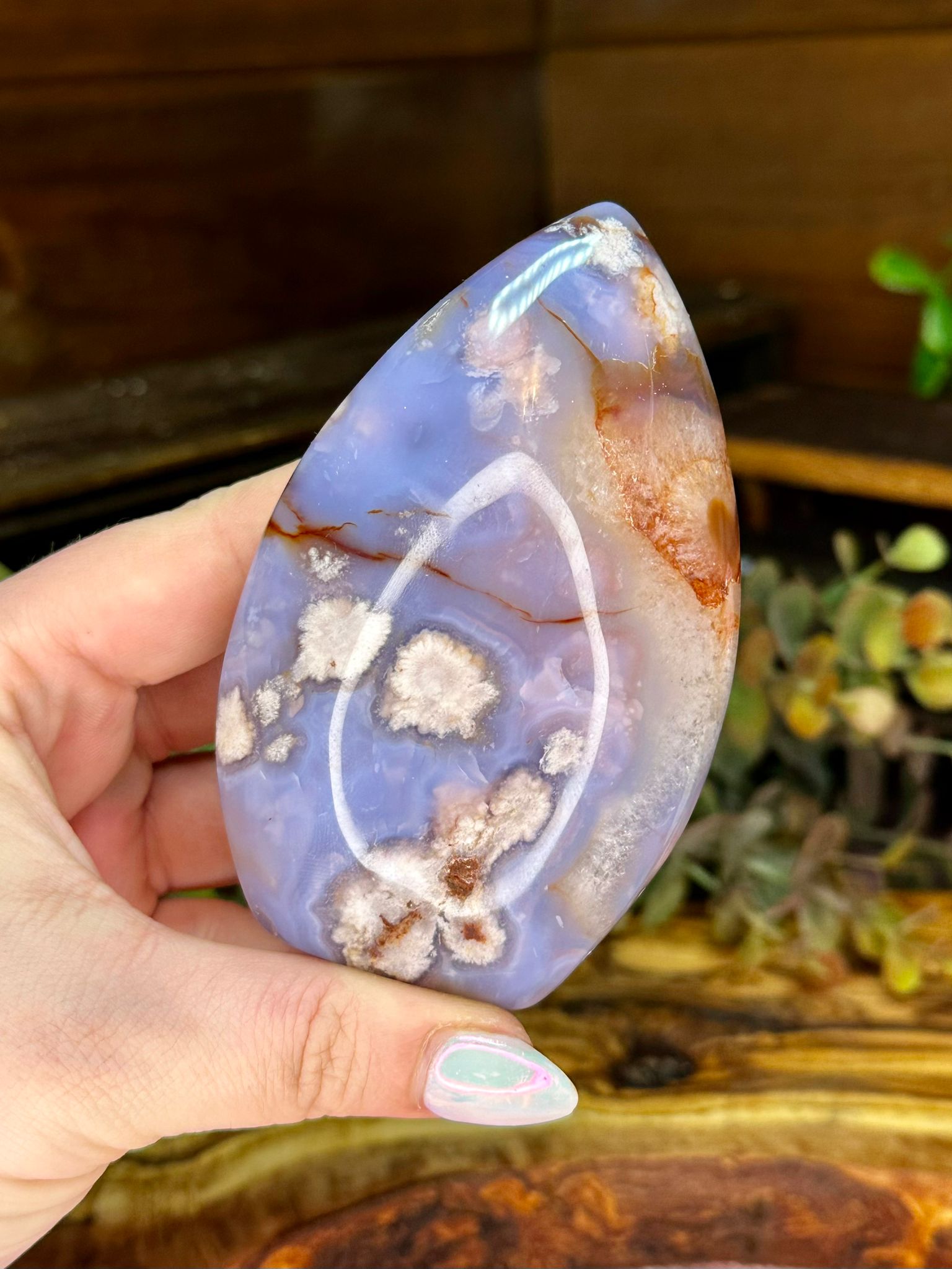 Blue Flower Agate Teardrop Freeform