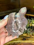 Picture Jasper Turtle Carving #1