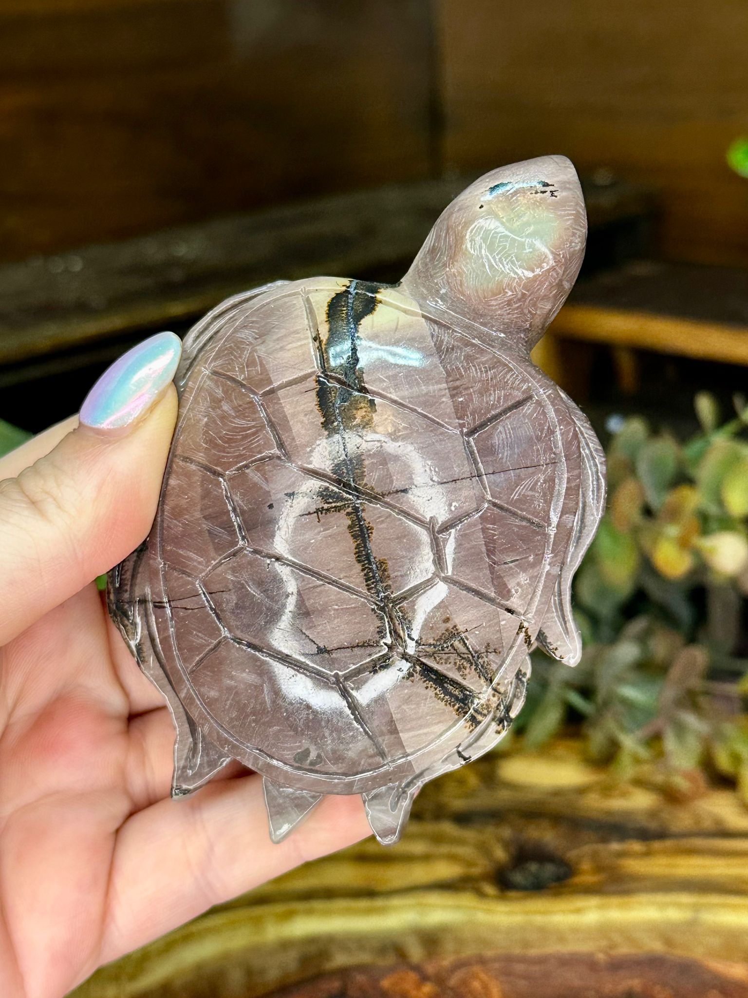 Picture Jasper Turtle Carving #1