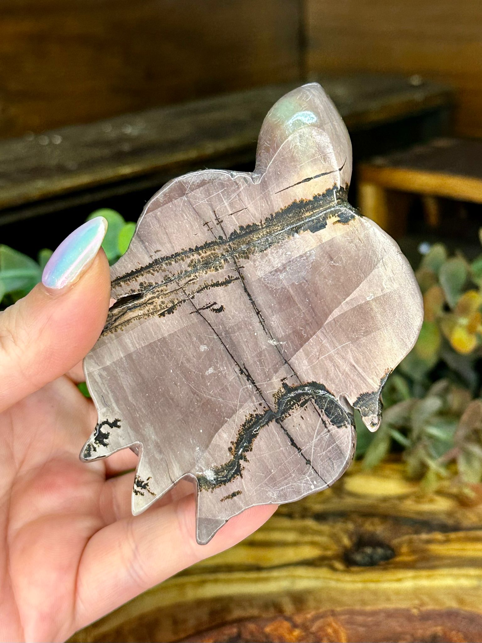 Picture Jasper Turtle Carving #1