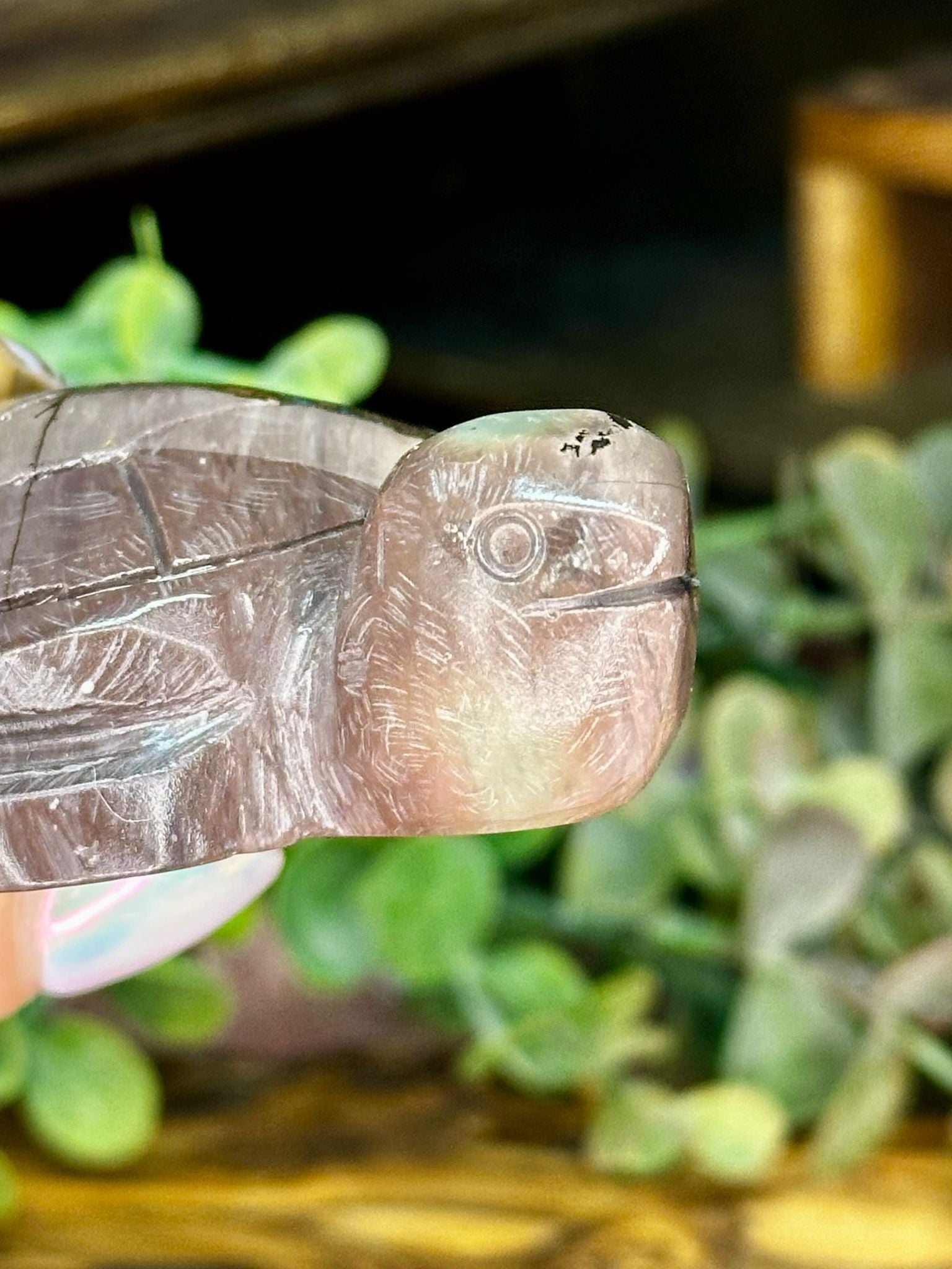 Picture Jasper Turtle Carving #1