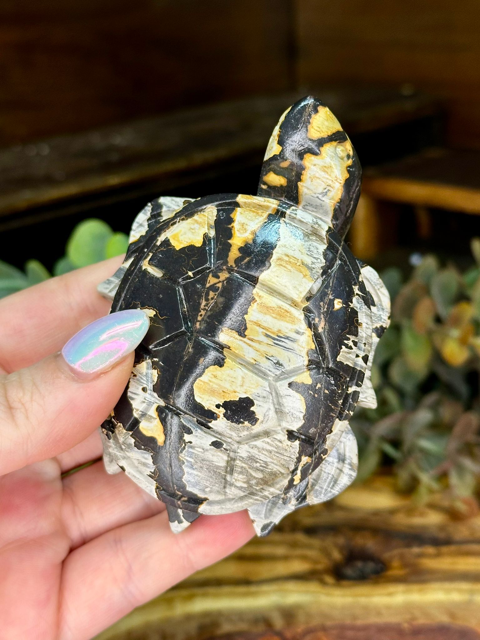 Picture Jasper Turtle Carving #2