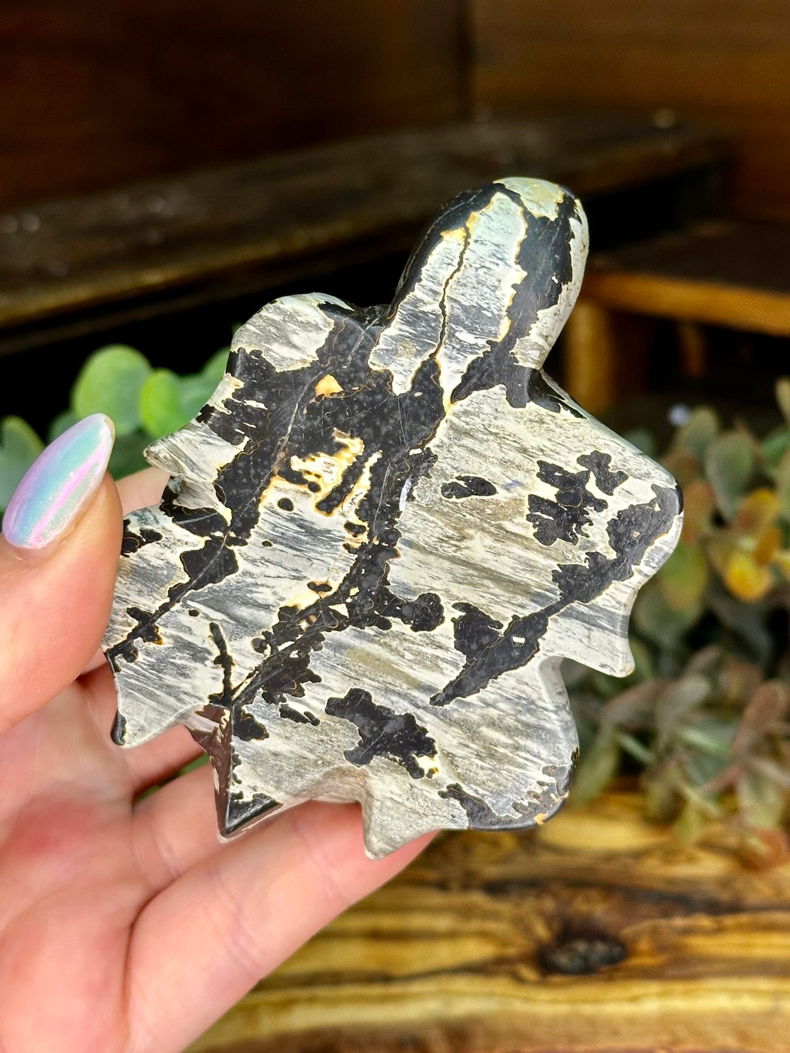 Picture Jasper Turtle Carving #2