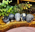 Volcano Agate Skull – UV Reactive - Intuitively Picked