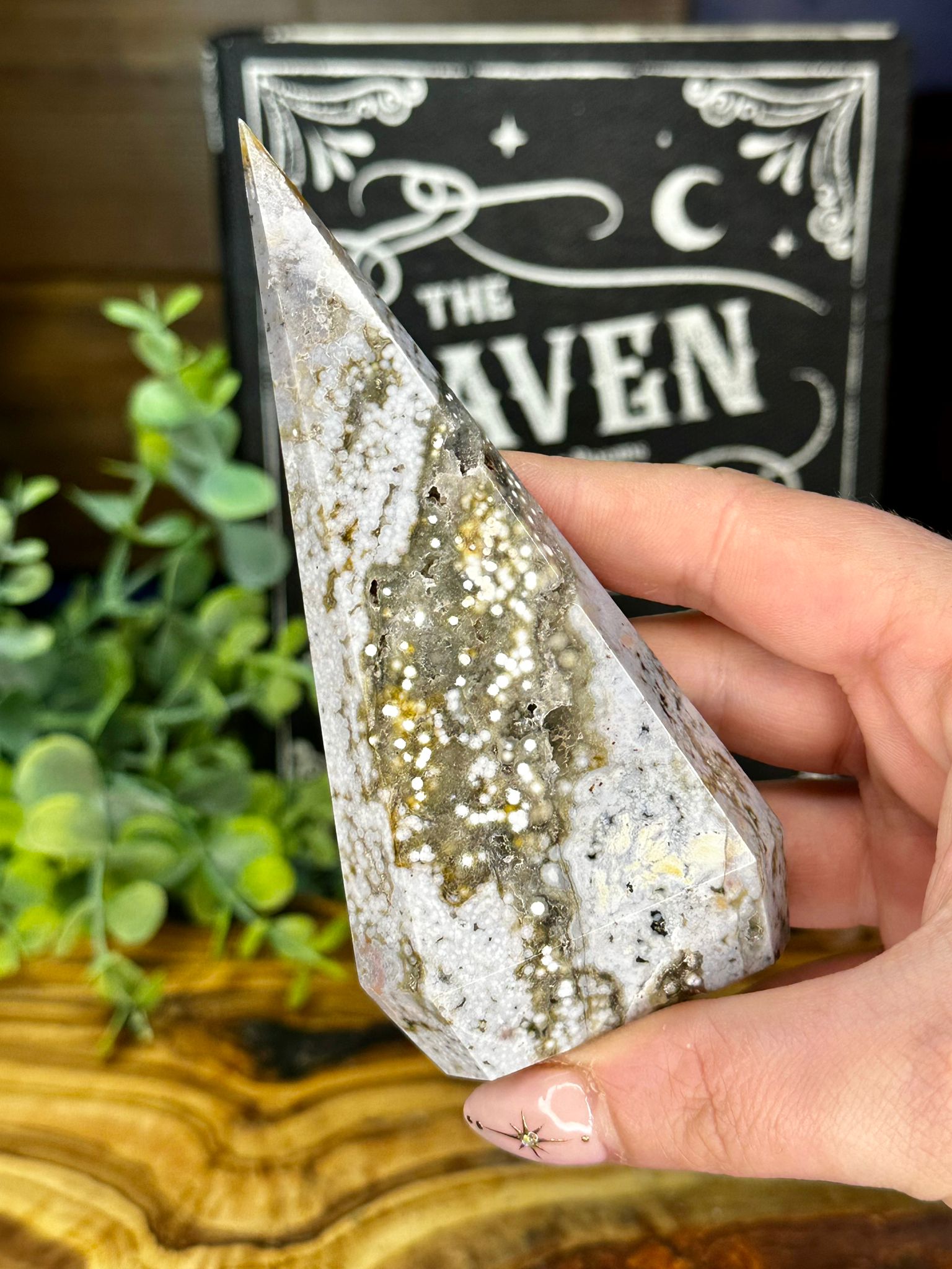 Orbicular Ocean Jasper Point with Druzy