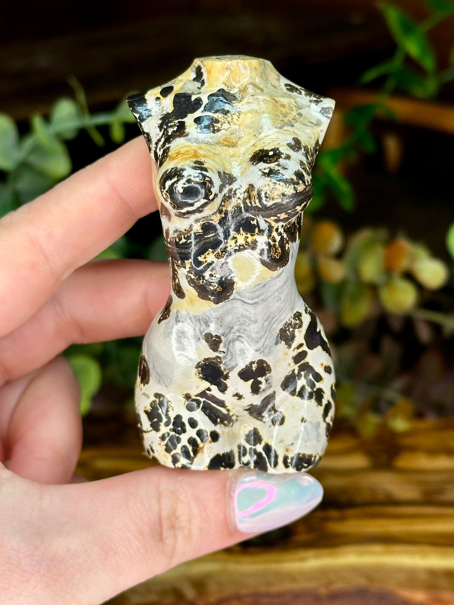 Picture Jasper Goddess Body Carving - Choose Your Crystal
