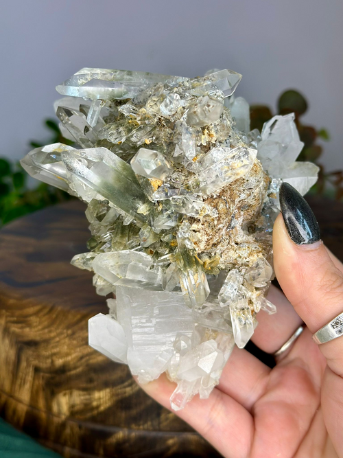 Collector’s Chlorite Included Quartz cluster with clear points, green inclusions, Anatase and Siderite on natural matrix.