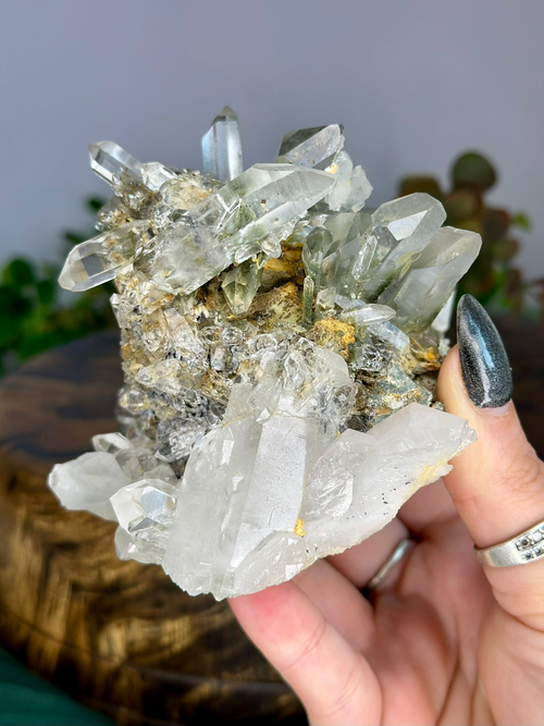 528g Chlorite Quartz mineral specimen showing large terminated Quartz crystals and dense smaller crystal growth.