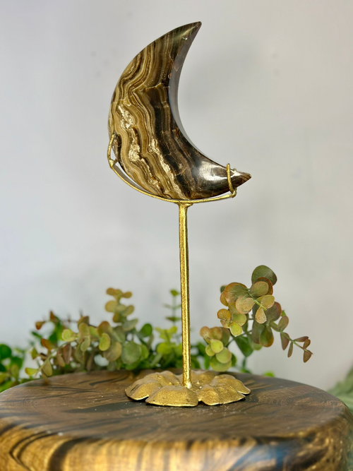 Chocolate Calcite crescent moon crystal with natural brown and caramel banding displayed on a decorative gold stand.