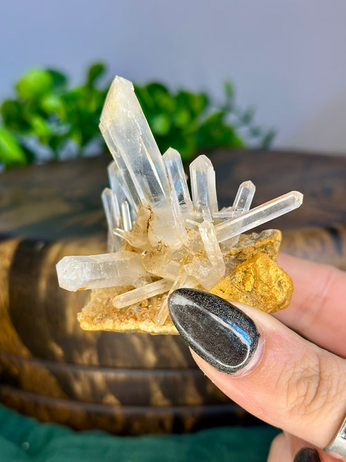 Natural Colombian Mango Quartz cluster with clear terminated crystal points