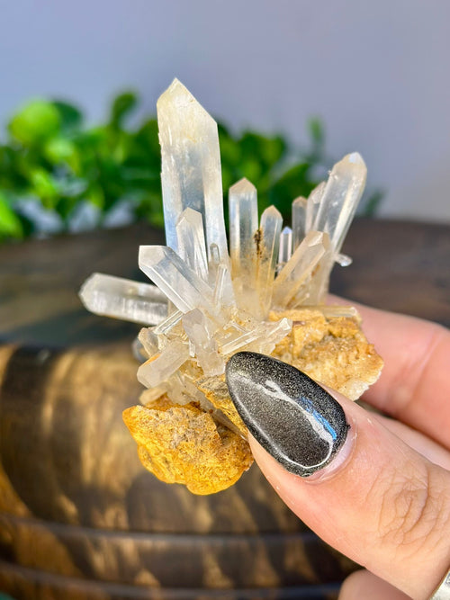 49g Mango Quartz cluster from Colombia showing multiple Quartz points