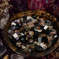 The Unveiled Confetti Scoop – Web Exclusive