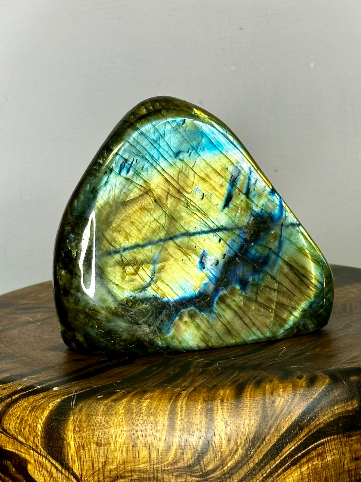 Polished Labradorite freeform with vivid blue turquoise and golden labradorescence