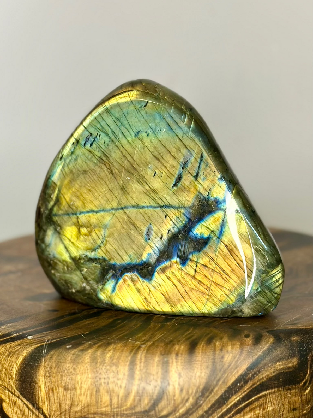 Large 1.1kg Labradorite freeform displaying intense golden and electric blue flash