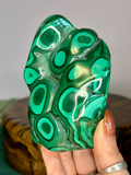 Large polished Malachite freeform with vivid green bullseye formations 657g