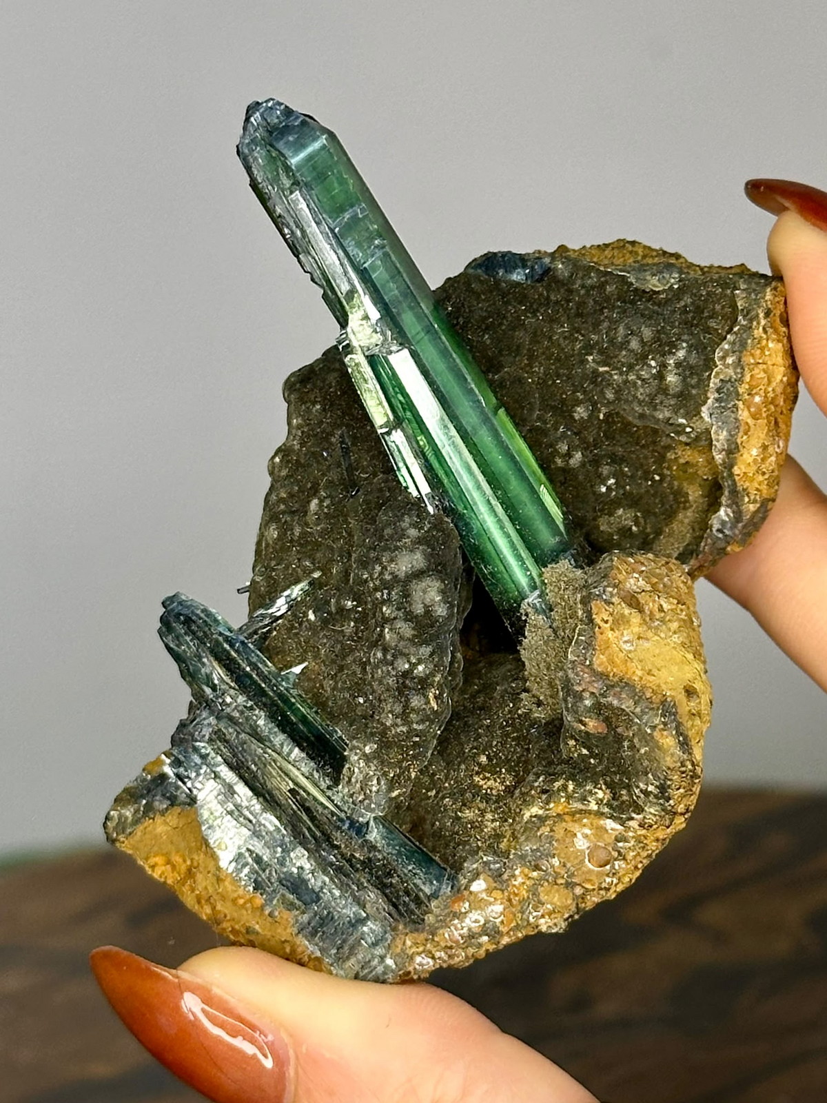 Natural Vivianite green prismatic crystal specimen on dark matrix