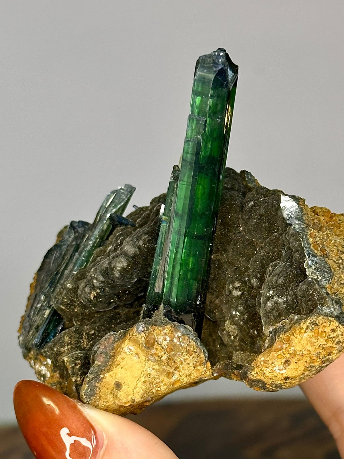 Long translucent green Vivianite crystal rising from natural mineral matrix